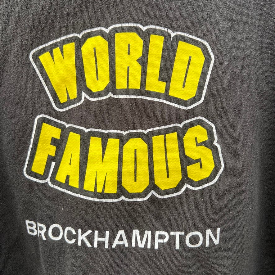 Brockhampton "World Famous" Matt Champion Hoodie - Sz Med - Texas Rap Sweater